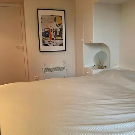 Апартаменты Ruim 3 Slaapkamerappartement Vlakbij Het